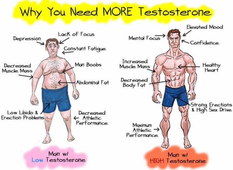 Natürliche Wege zur Steigerung von Testosteron